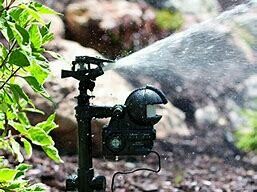 Orbit 62100 Yard Enforcer Motion-Activated Sprinkler with Day & Night Detection Modes